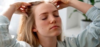 The nervous system: Photo